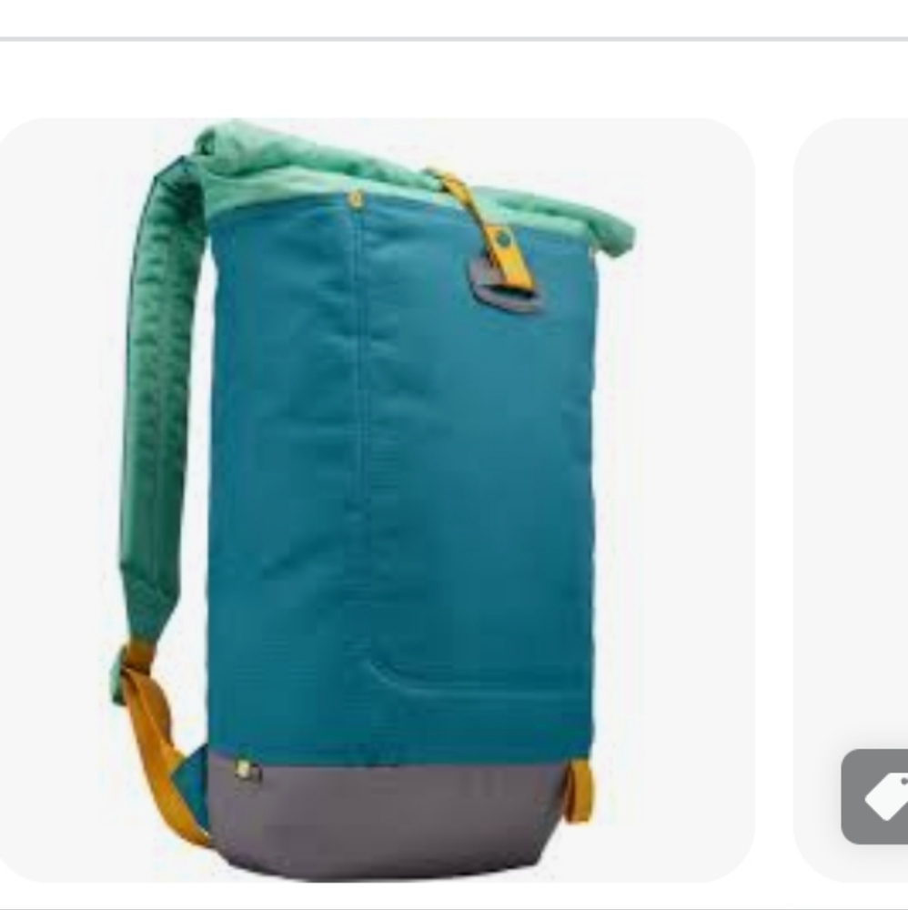 Case Logic 'Larimer Holltop'